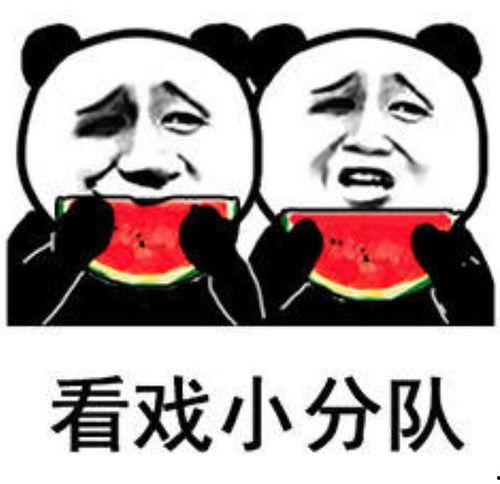 回复吃瓜表情包图片