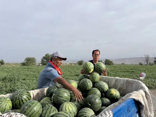 和孩子们一起来吃瓜,与孩子们共享欢乐吃瓜盛宴